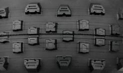 Pneu Hutchinson Toro Koloss - Spider Tech - Tubeless Ready -Pneus VTT Elegant Magasin Pneu Hutchinson Toro Koloss Spider Tech Tubeless Ready macro 1235x735