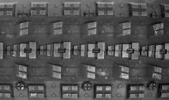 Pneu Maxxis Crossmark II - EXO Protection - Dual 62a/60a - Tubeless Ready 7 Pneu Maxxis Crossmark II - EXO Protection - Dual 62a/60a - Tubeless Ready -Pneus VTT Elegant Magasin Pneu Maxxis Crossmark II EXO Protection Dual 62a 60a Tubeless Ready Macro 1235x735